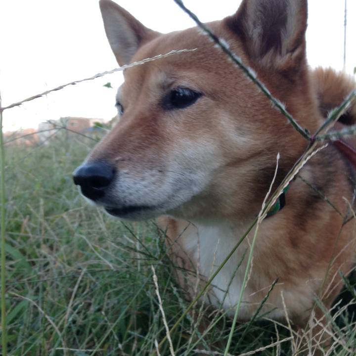 Dff3ec74 92e0 4167 a6c6 36ff9bc412a4