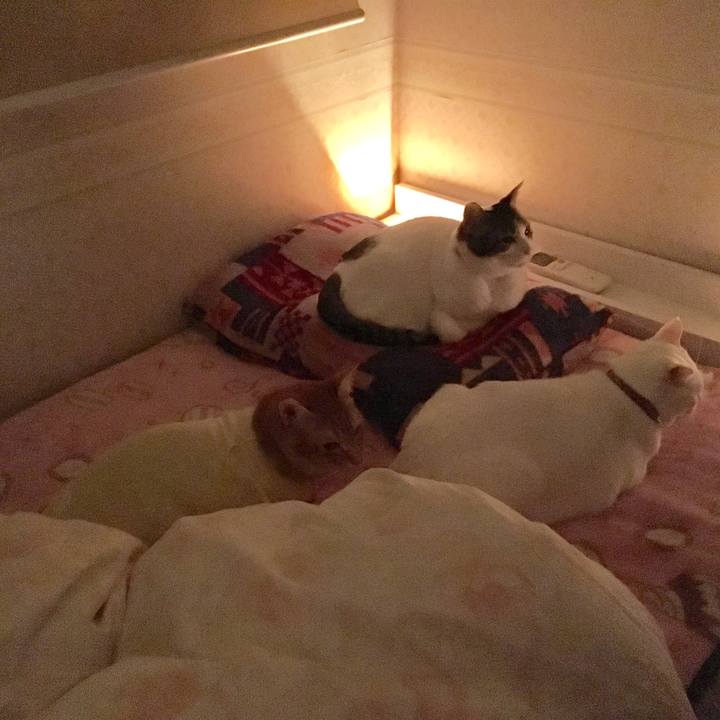 Dff59a46 509e 47e7 bbbe 6853f5d57dd4