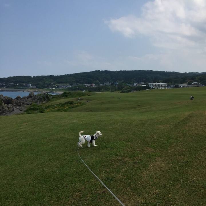 Dff5b9ed a320 4ae1 af7f 0d5f85ee8066