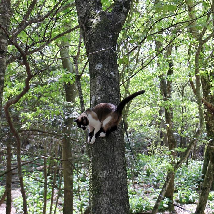 Dff5d42d f1c6 4309 860c d038c65da878