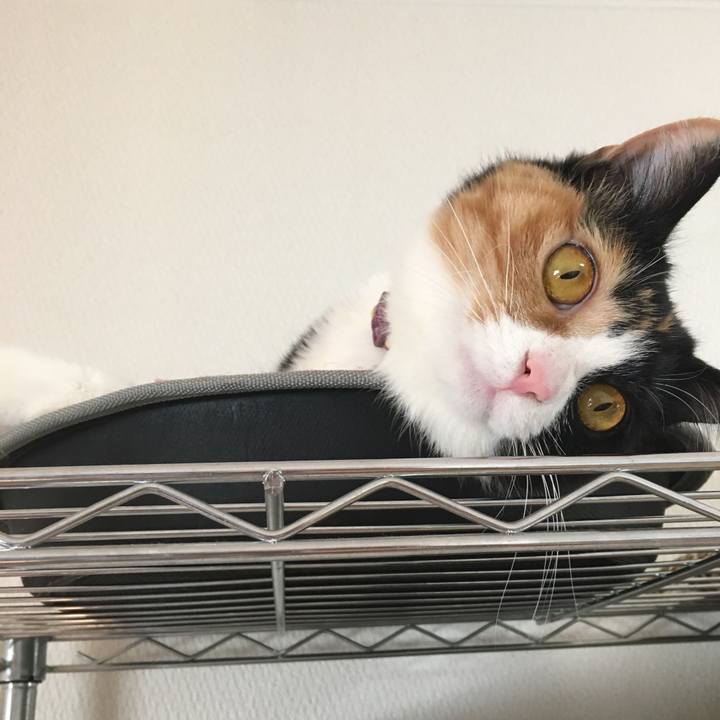 Dff5d595 ce95 49f6 8b6a 50258b65448f