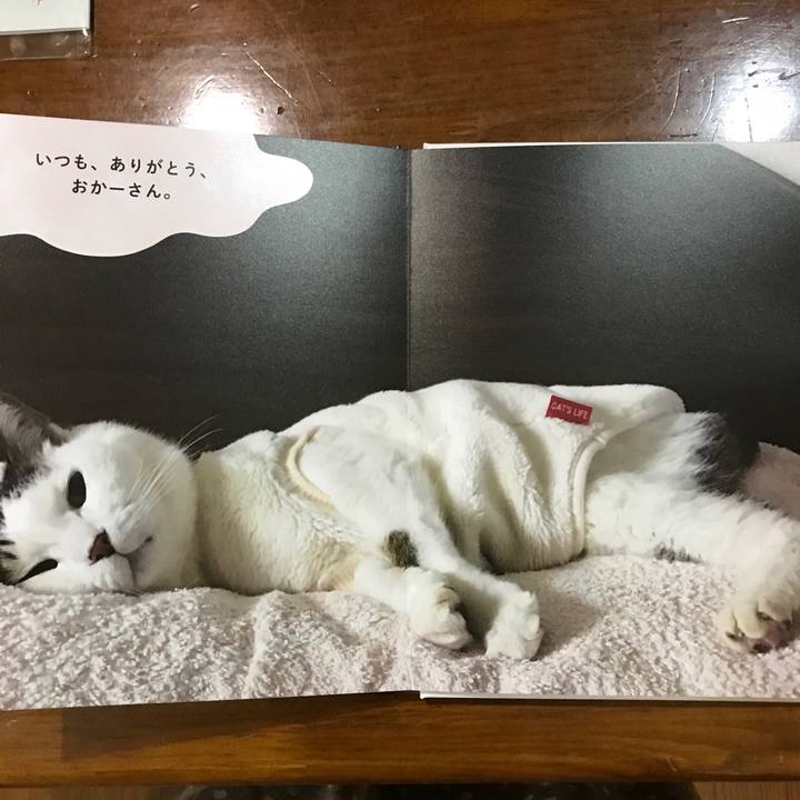 Dff6afce b8f7 4635 b707 9fb02d510c98