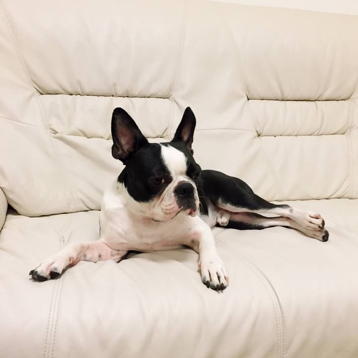 Dff760c2 7c59 4fd5 aef2 ac6b0ab3b8a7