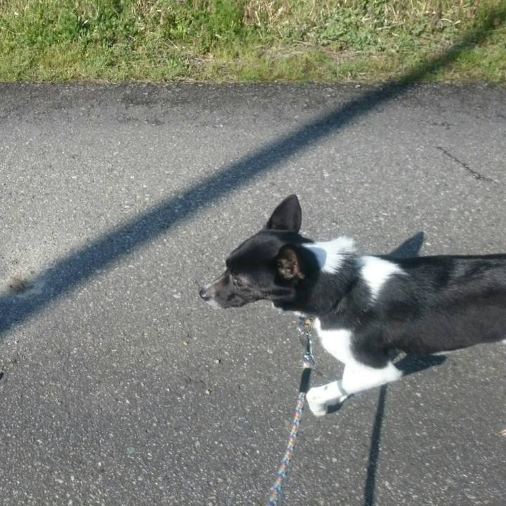 Dff86e4a 642e 4683 b14d ba8292acc276