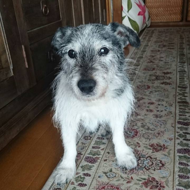 Dffa2227 fc98 418e 8372 e18387283447