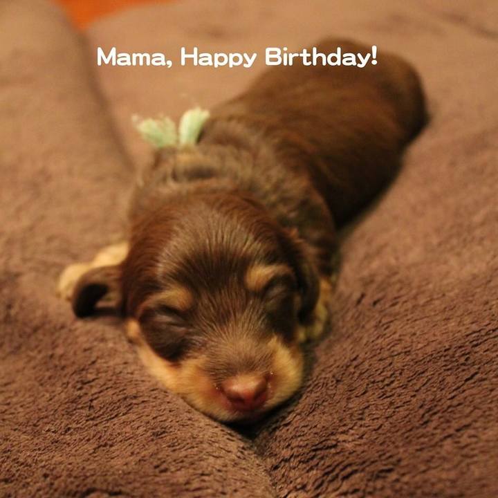 Dffa85a1 b0ca 4ff3 99f4 915696a609fb