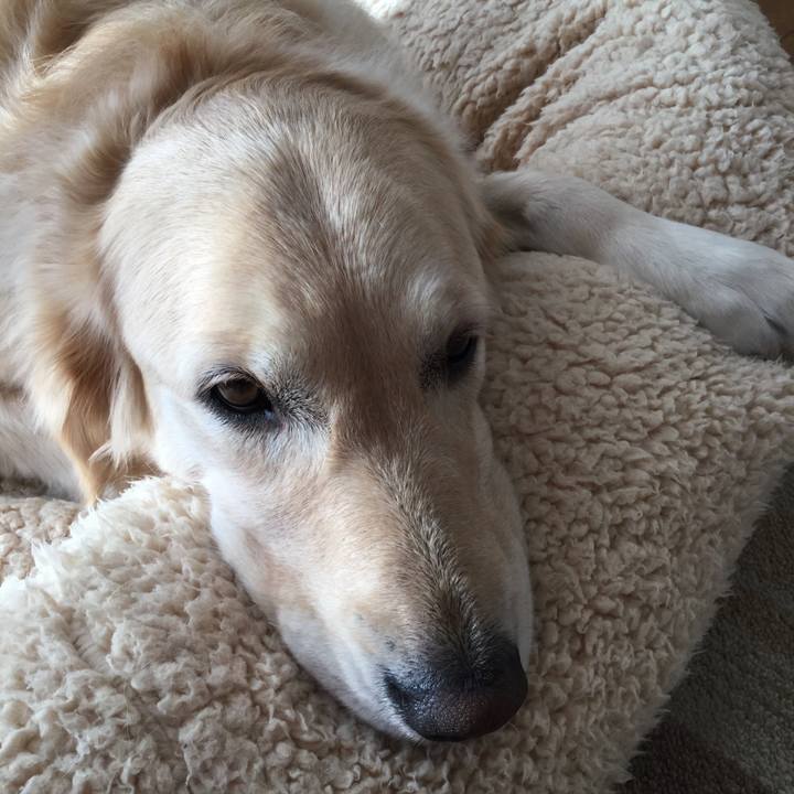 Dffb0322 7645 48cd ab98 bac79a45cc15