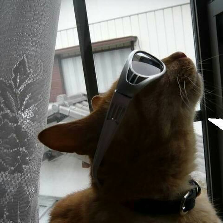 Dffc3887 647f 4da8 8b97 87064dfe8850