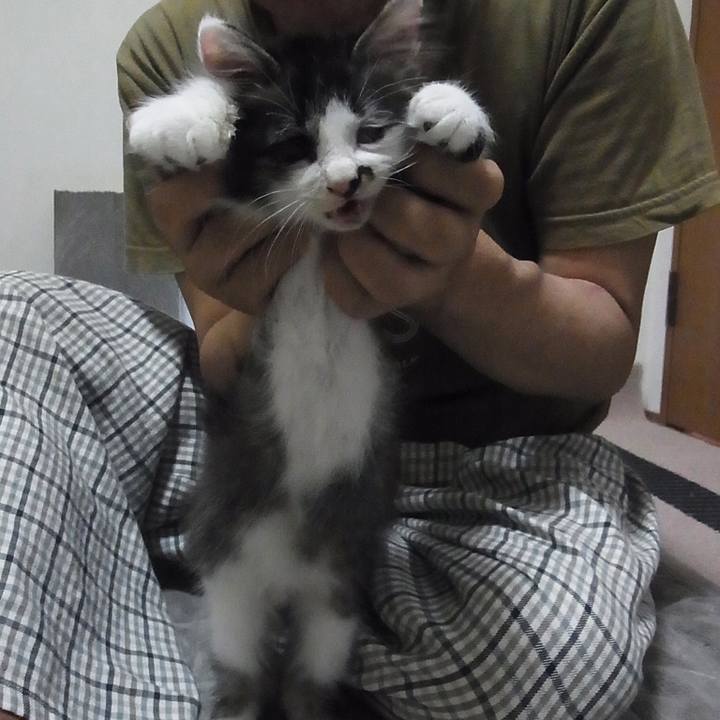 Dffc5ffb 367f 4e59 8661 75798ea5734e