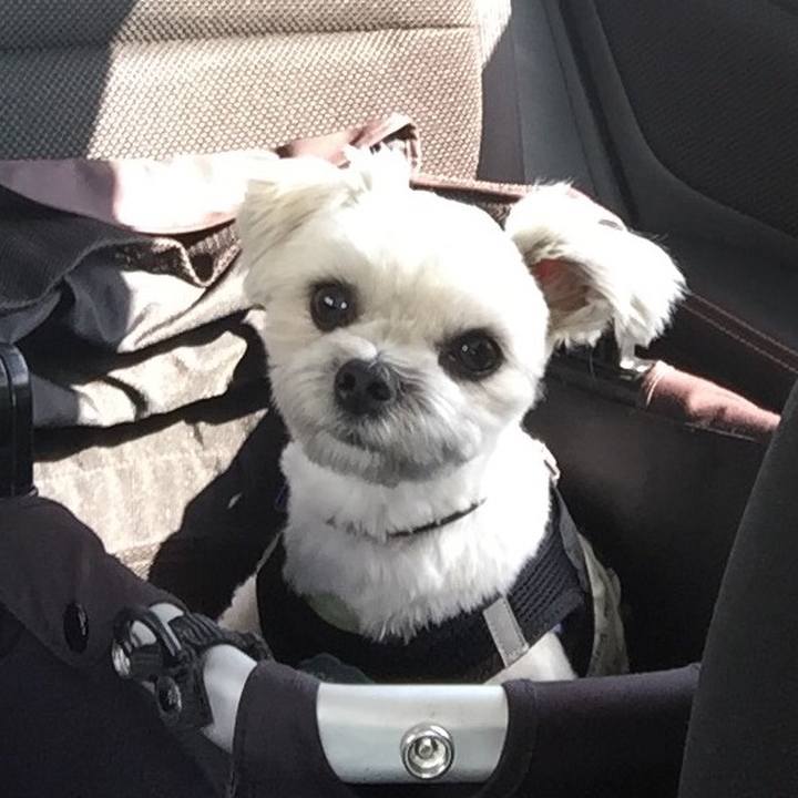 Dffc70e0 868c 41d2 97c6 cc96f52f5fcc