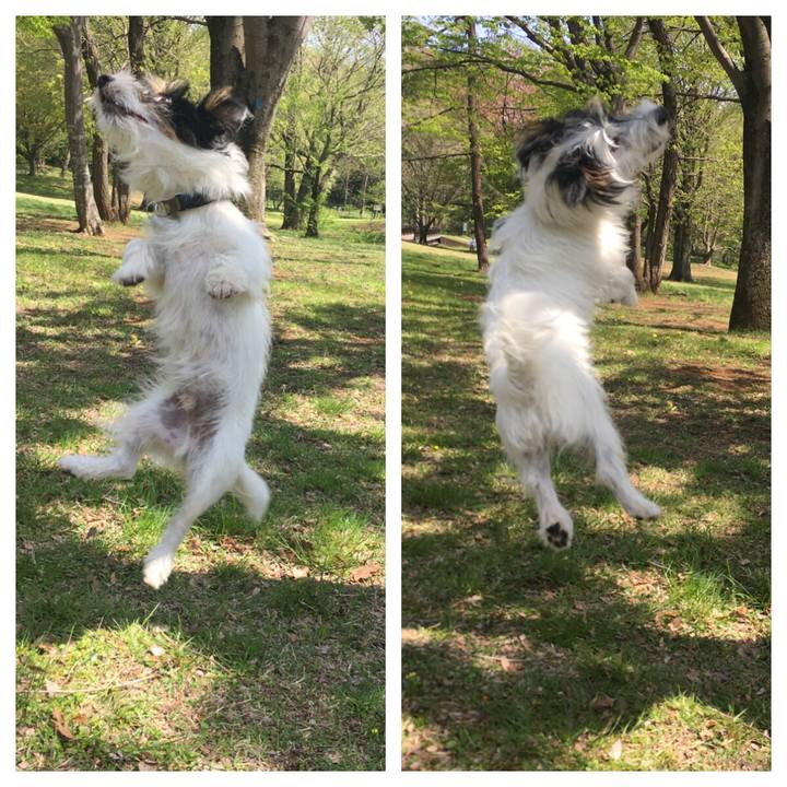 Dffc83cd dc50 4312 a640 b548cd3ee26a