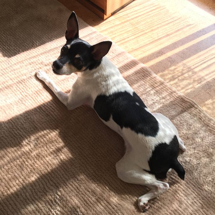 Dffce14a 8580 4b89 b563 7282dae69ddc