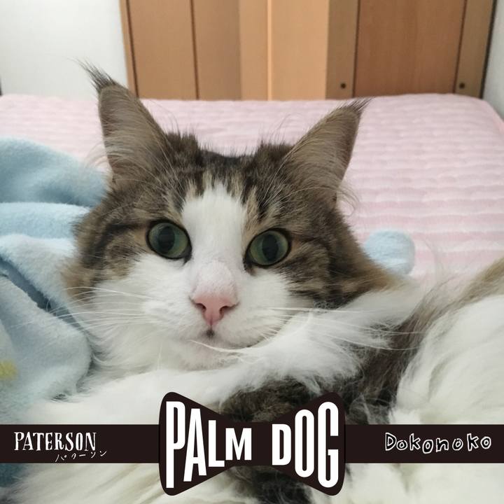 Dffd4b4e 0f05 4f0a 9881 54842d483a12