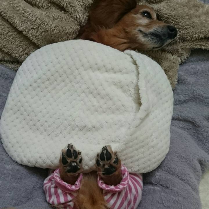 Dffd7962 300a 4f0a 9b46 0f9aac67b7b4