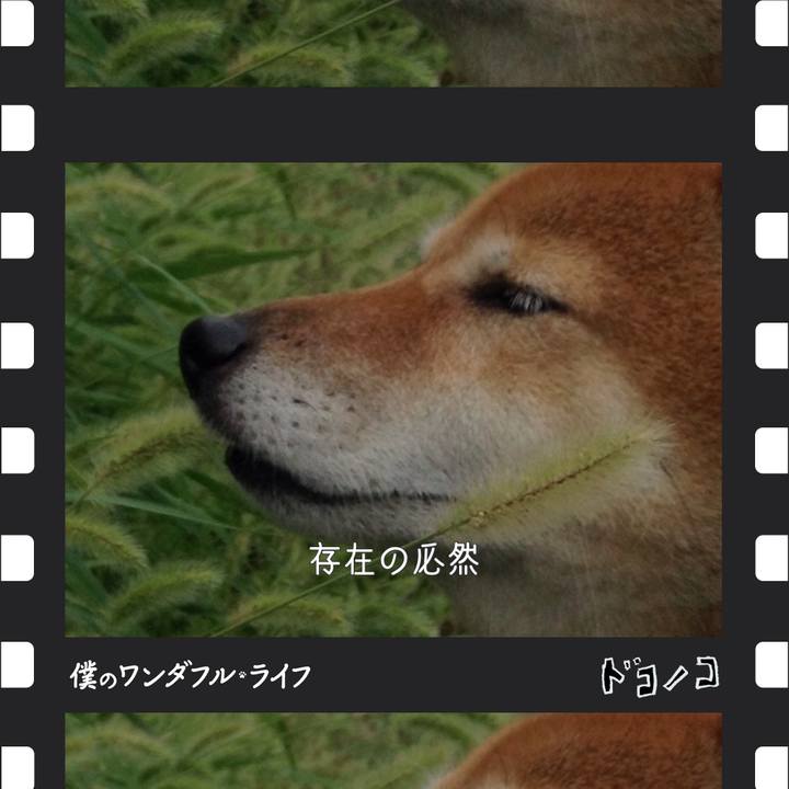 Dffd8b6a 4716 43c1 8cc7 75f45de18273