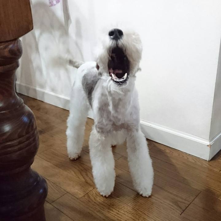 Dffe08d3 8fcc 4101 aa84 dbe495c5cfd5