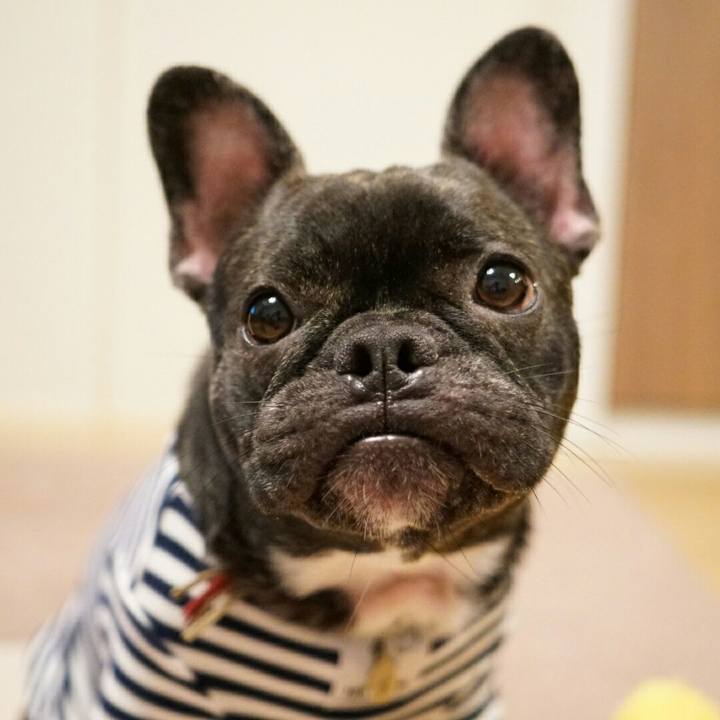 Dffe8c1e 5155 40bf 8d55 24fdd5a7b8ab