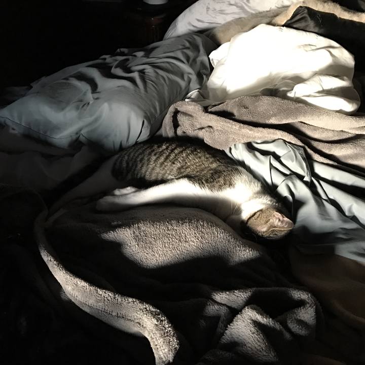 Dffee5d5 ad7c 4cd8 b6a0 784c86794482