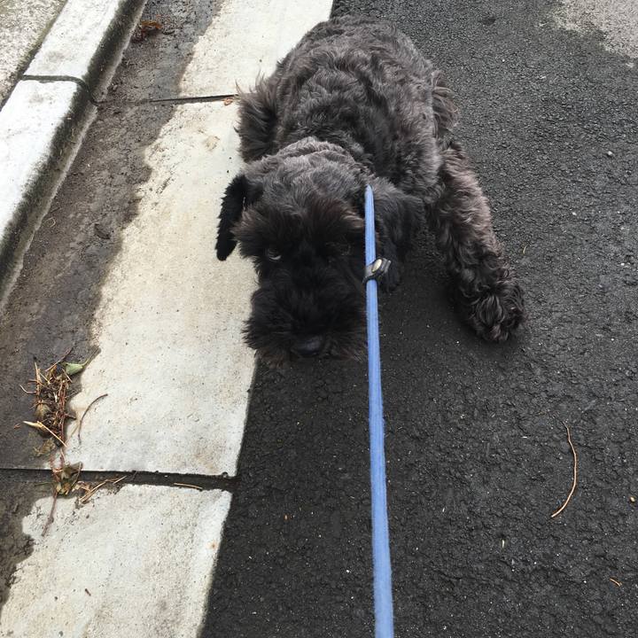 E0001369 e71c 4da1 8e9d 3d717ac48e2b