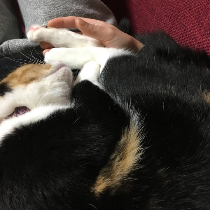 E00056c8 3d80 447a 82a1 52faed892df7