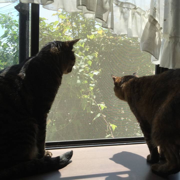 E000863e 06e7 40e0 8436 40ec71f23ca4