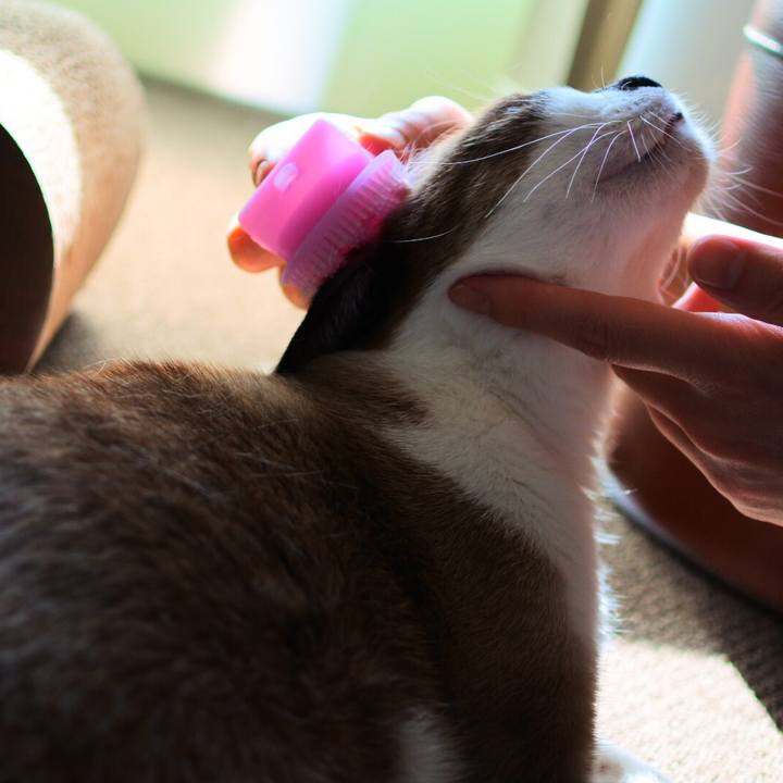 E0023f15 ecc2 44a0 a05c 70ff040af3c4