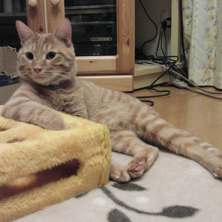 E002c6bd d783 4507 ae77 a28369d282f9