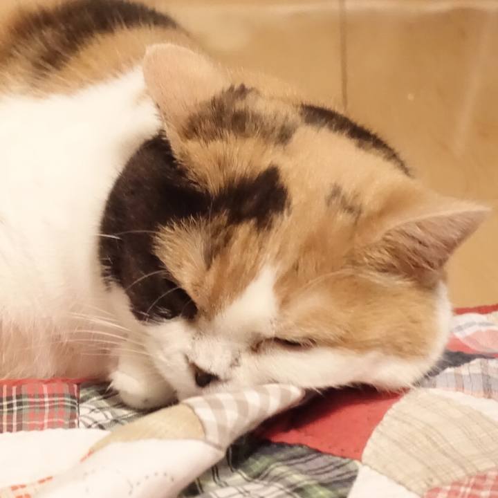 E002d77b 638a 4211 9b16 9918dba6aa7a