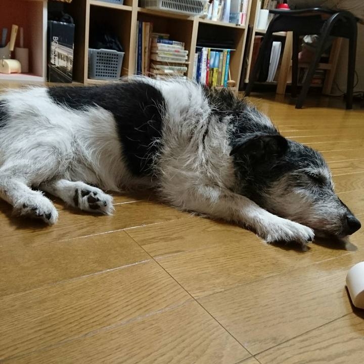 E0035938 d2e0 4049 ba66 79f1985a6f44