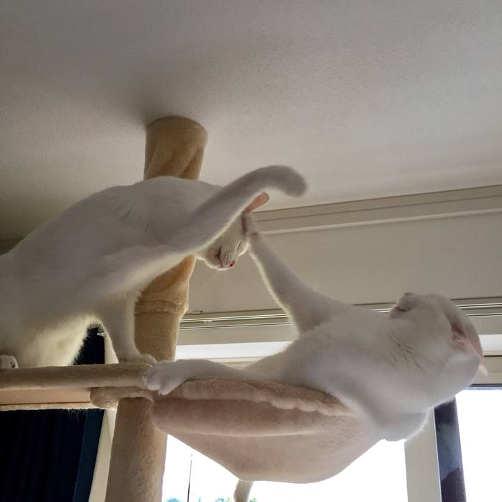 E003ade9 59cc 43a9 9cd7 7e5596cfb876