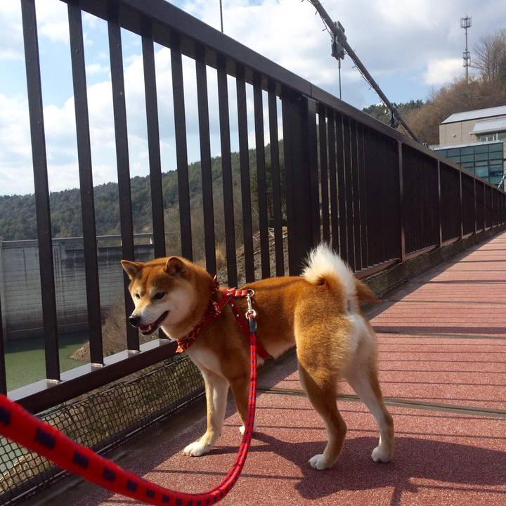 E0044497 f9b6 44b5 9b7e ce17c053a505