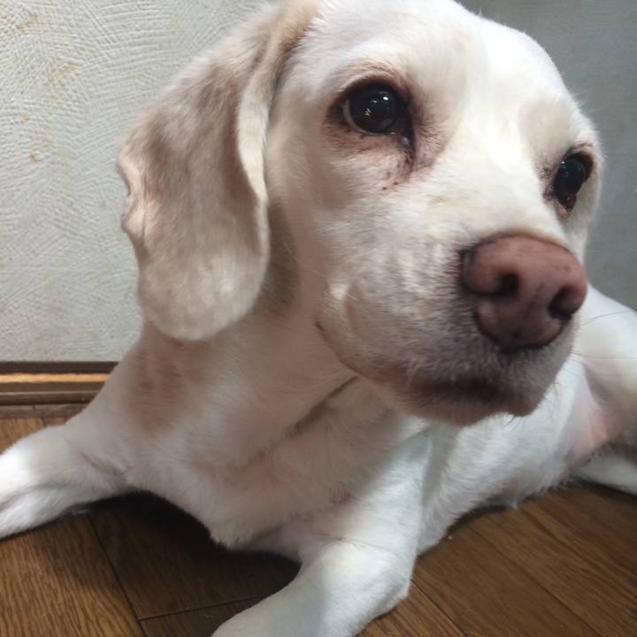 E004bd2d 08c7 4ce4 80f4 98619ef6cbe9