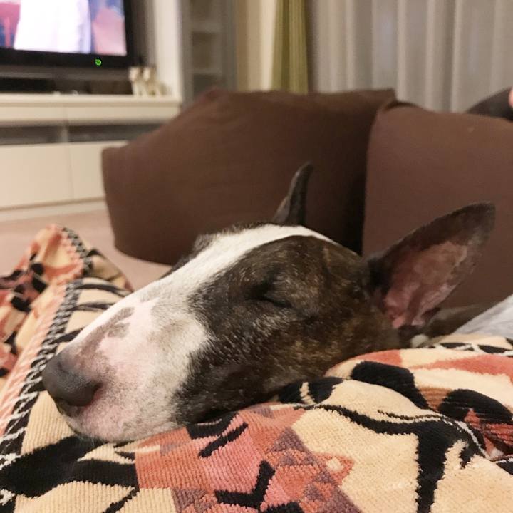 E0053b88 9501 4a8a 8079 dcbeeb6cf500