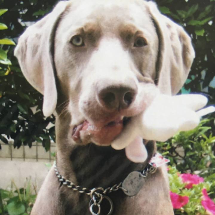 E005d01a fb75 4bcf 90d8 fd6307f5c88f