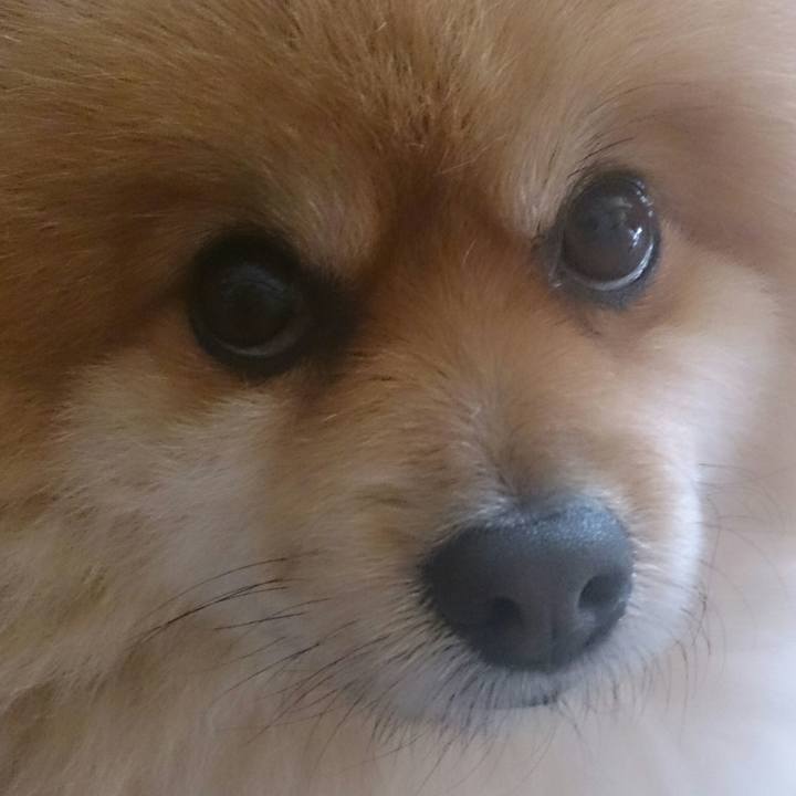 E0063f29 45b4 4077 927d 8fa39821cc4a