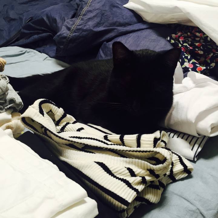 E006446d 120c 4ca9 a1c3 f06a3816fe0e