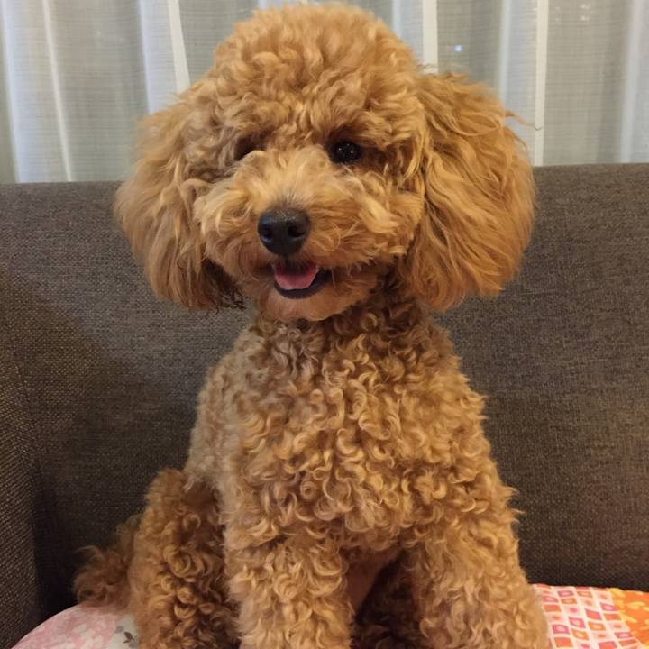 E0069985 cfd2 4ef1 b6c2 8852618e19a7