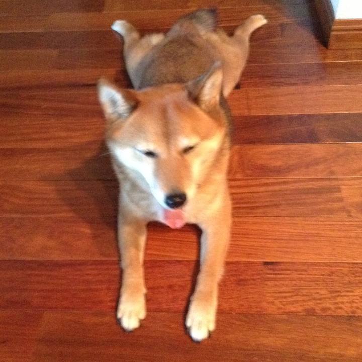 E006e842 4d16 49ec 9f92 8b2c154dda73