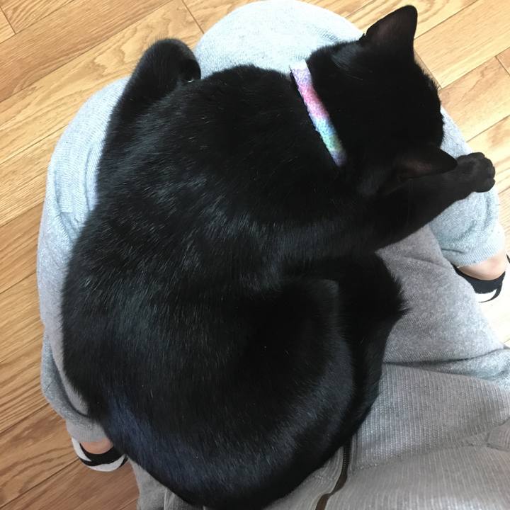 E0071a6d c349 48f6 b4d8 36dfa0dd3532