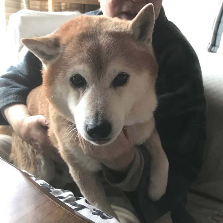 E00762bf ea87 4f54 aee8 c8b40488315f