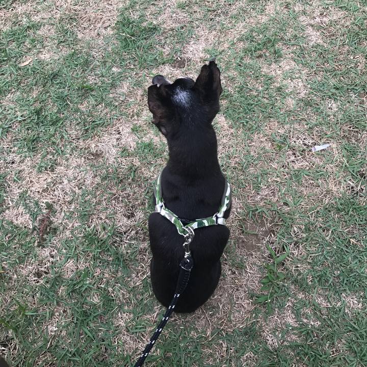 E00764a0 d1ae 4adc ab39 1d2a1bb3d7a1