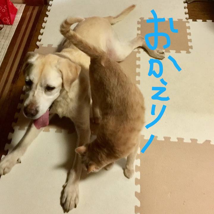 E007fbff cffe 45be a4aa 7913e9c3d714