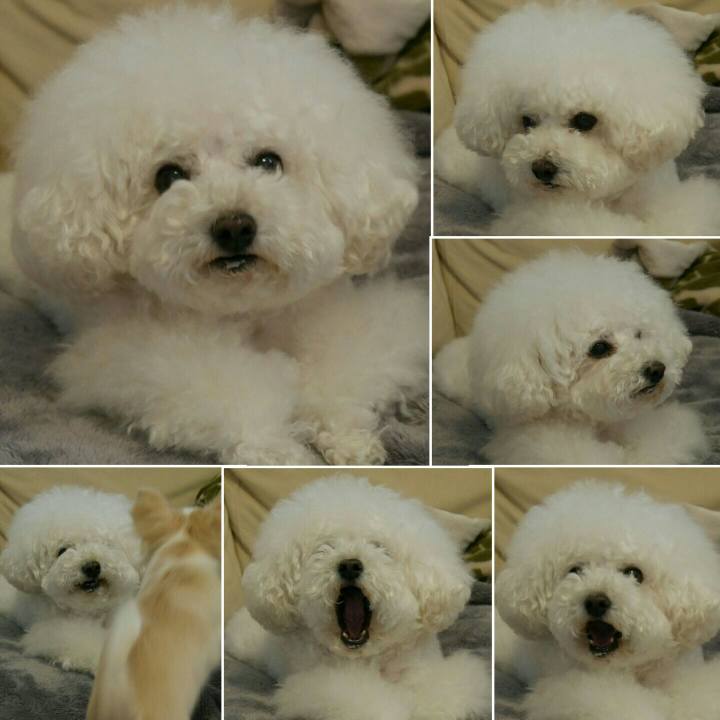 E0080728 d150 4f8f a056 9c742f4420b6