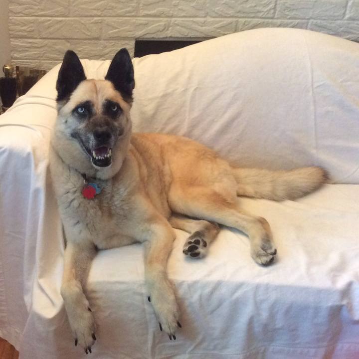 E0085b4b cadc 4919 93c1 eb116b87948c