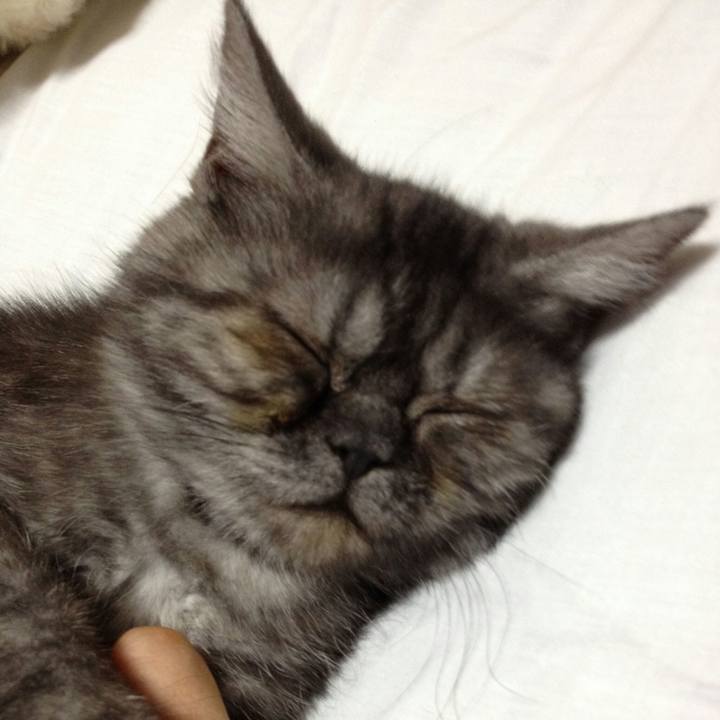 E0089833 3524 4143 a50f 19c715be493d