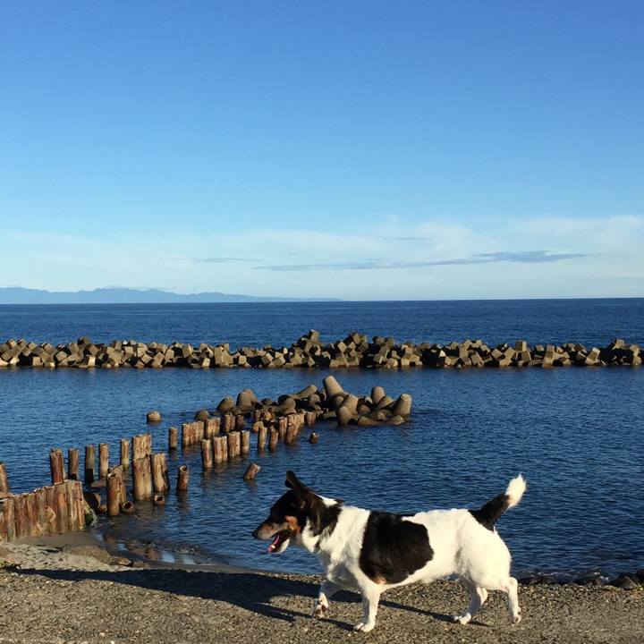 E008a1b8 4bb4 4bb1 b042 21fb9bdbd4d7