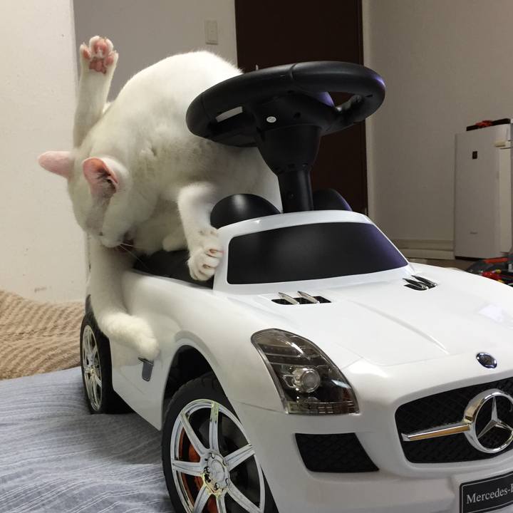 E00909c8 c170 4006 aaac 2889264497be