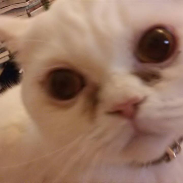 E0093975 48f5 4f4d 8cb9 1712086ecdcc