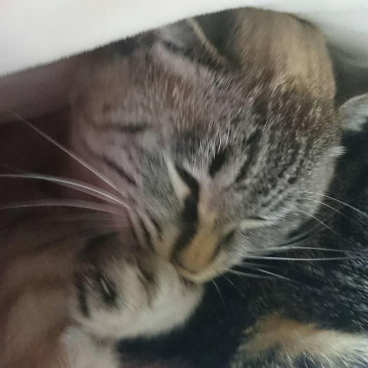 E0099775 56fc 443c a9c1 a70c7f7f1dde