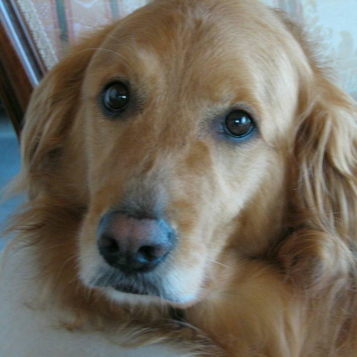 E00a38ee f1f6 4cb9 87a1 cc65b92ae7dd